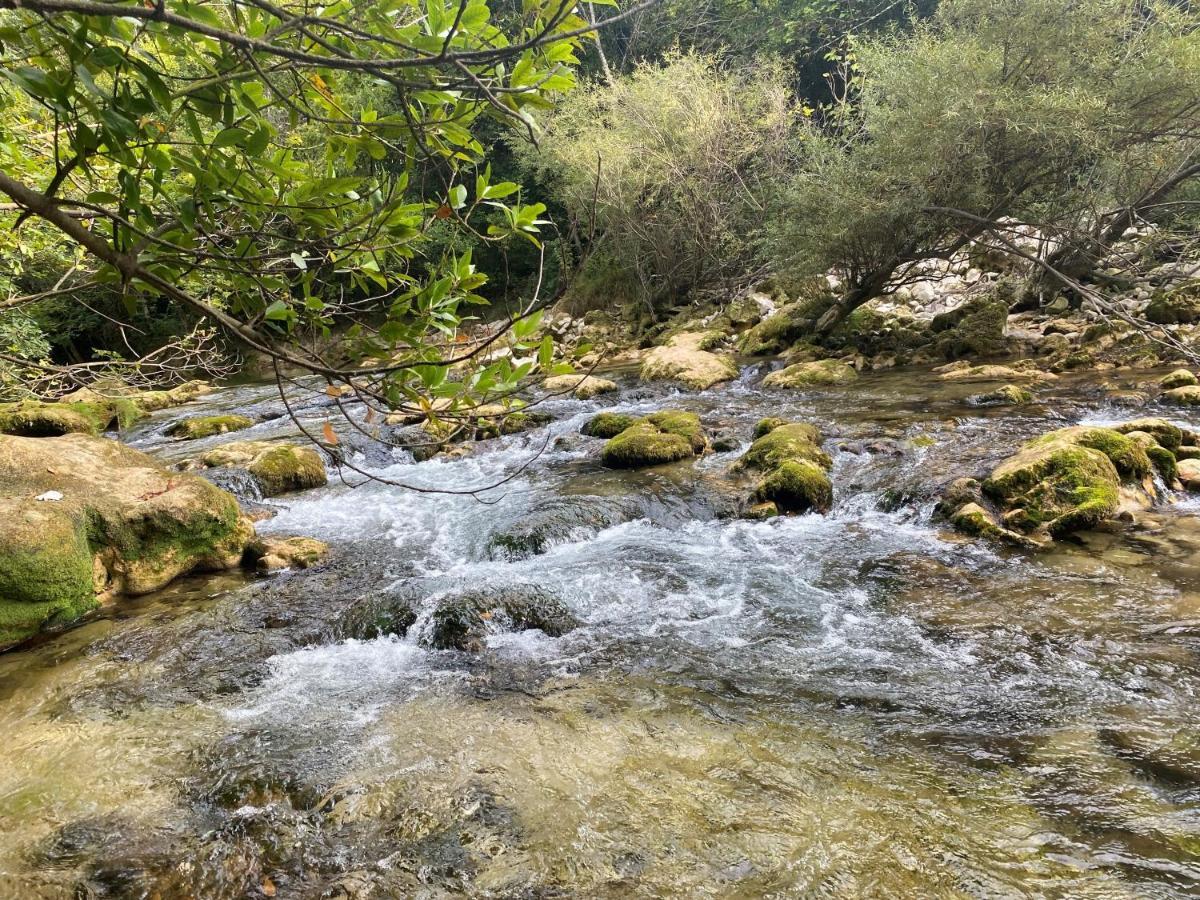 Les Lodges De Saint Cassien 2 Montauroux Zewnętrze zdjęcie