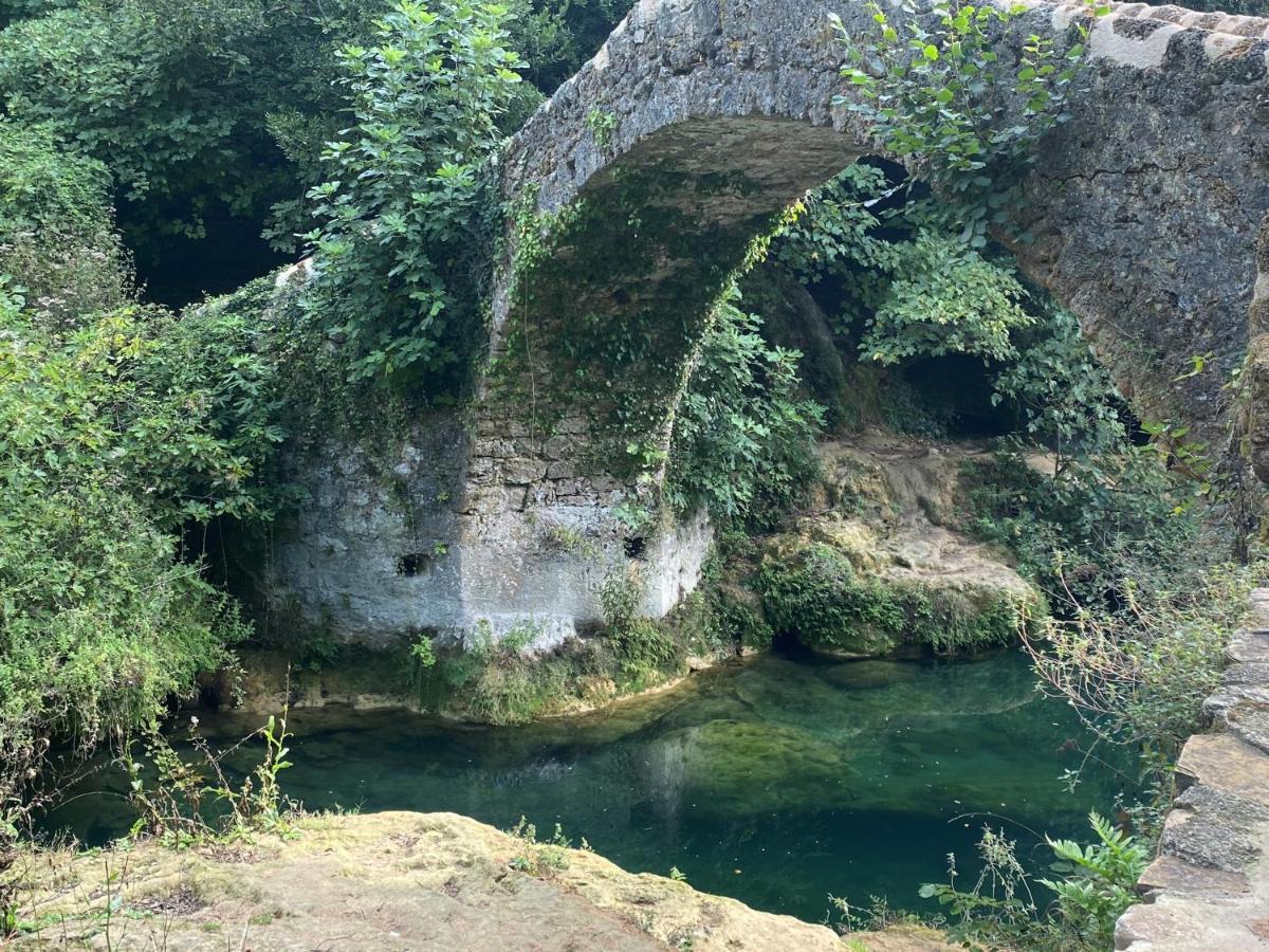 Les Lodges De Saint Cassien 2 Montauroux Zewnętrze zdjęcie